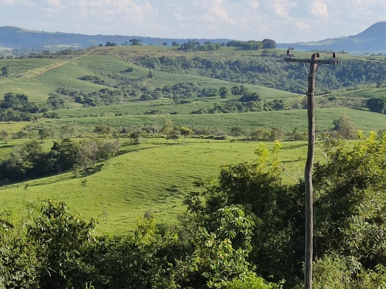 Fazenda com 129 alqueires em Bofete/SP, excelente oportunidade
