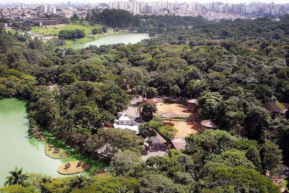 O Zoológico da cidade de São Paulo é o maior e dos mais importantes do Brasil