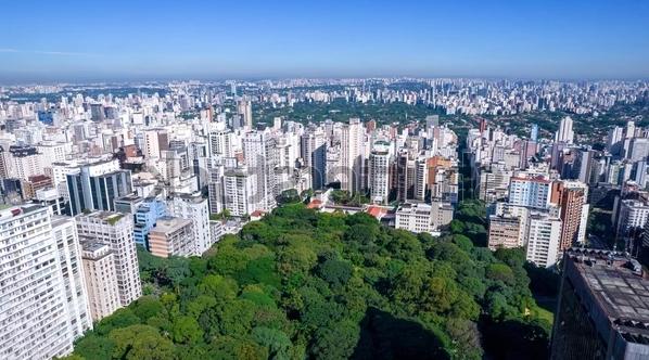 Parque Trianon: Natureza e Tranquilidade no Coração de São Paulo