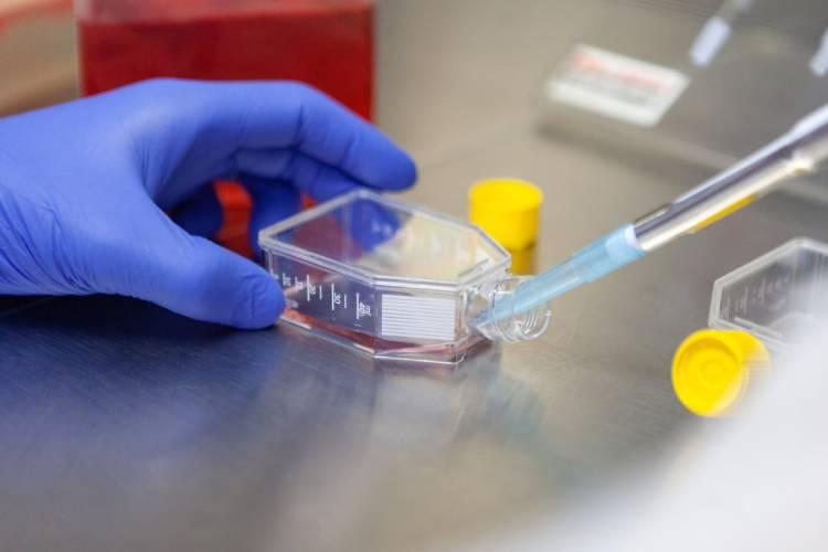 SÃO PAULO - Com células de inseto, Instituto Butantan desenvolve tecnologia para vacina contra Zica