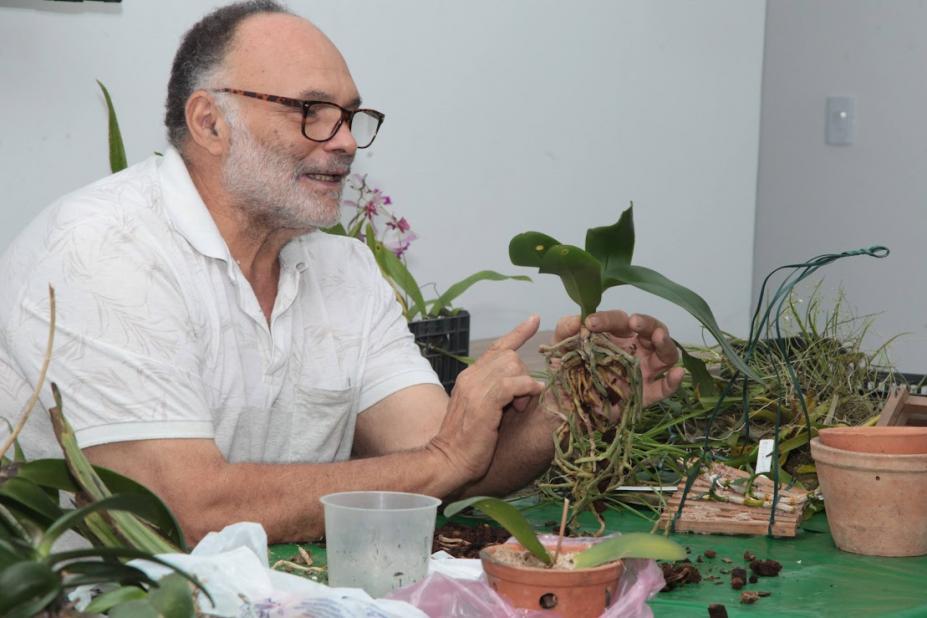 SANTOS - Orquidário oferece oficina de cultivo de orquídeas neste fim de semana