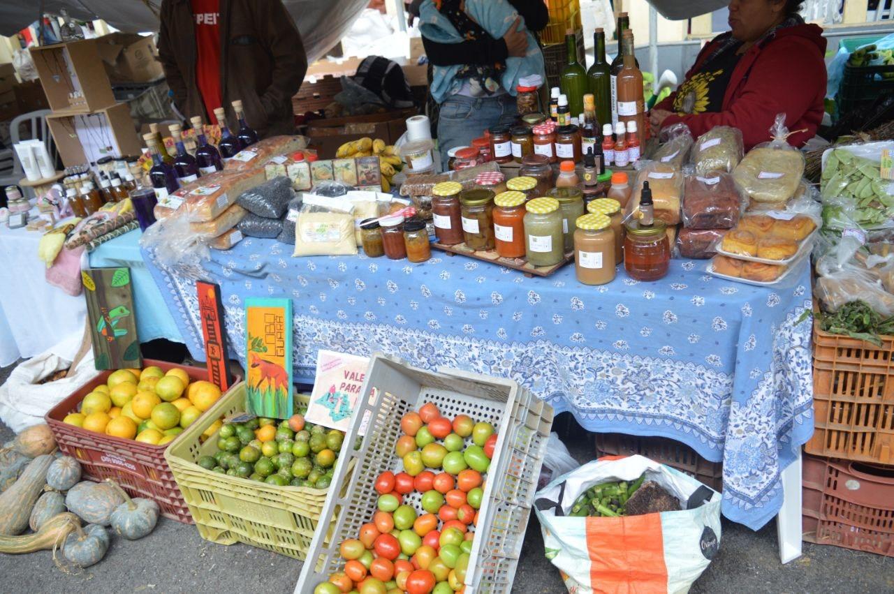 CAMPINAS - Fim de semana: cidade terá feira agroecológica na Estação Cultura