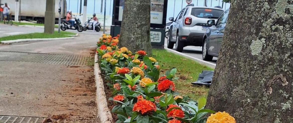 SANTOS - Novas 3,7 mil flores iniciam renovação do paisagismo em Santos