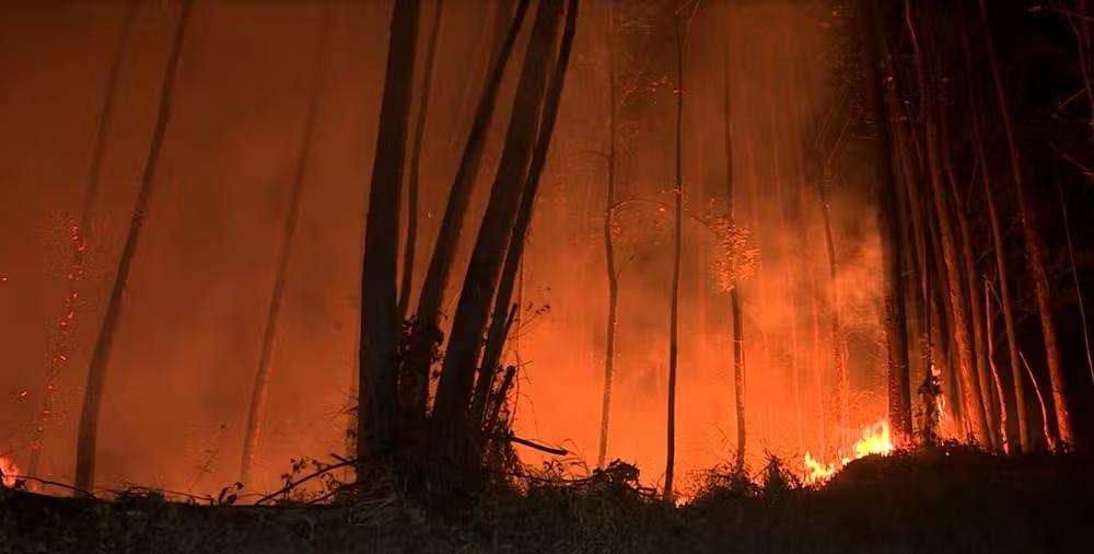 Homem é detido suspeito de atear fogo na região do Pico das Cabras, em Campinas