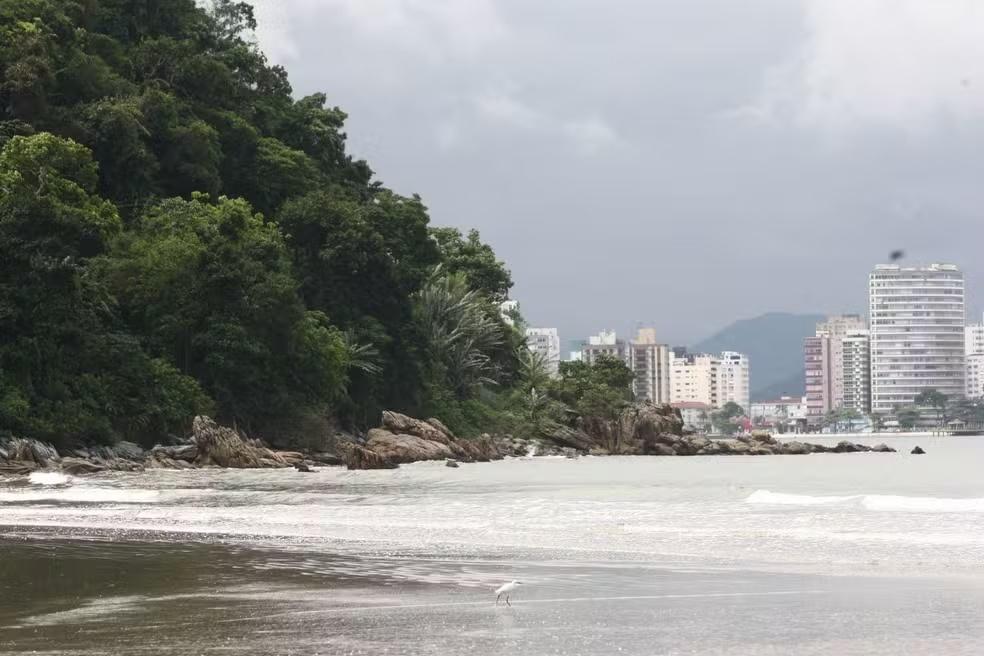 Mutirão de limpeza na praia irá celebrar o Dia Mundial do Mar em São Vicente, SP