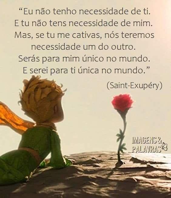 Auto ajuda para idosos e idosas