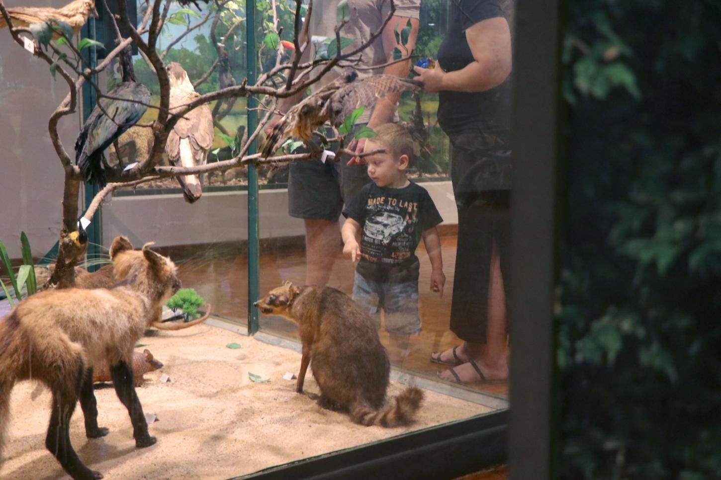 Campinas oferece passeio guiado gratuito pelos principais museus da cidade