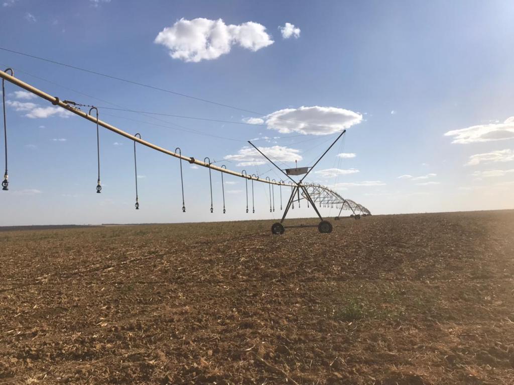 Oportunidade única: fazendas à venda na região de Brasília com infraestrutura completa, irrigação e alto potencial produtivo