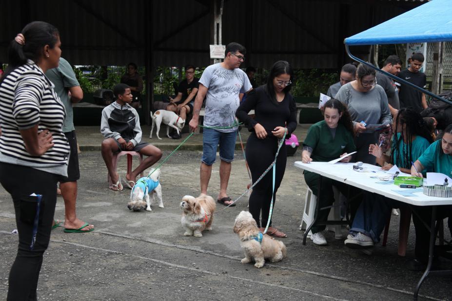 Santos imuniza 200 cães com vacina V10 gratuita em campanha da Codevida