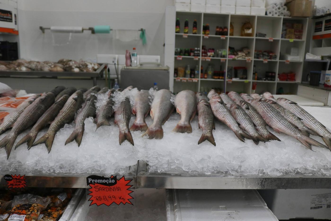 Mercado de Peixes de Santos faz Festival da Tainha com o menor preço dos últimos anos: R$ 11,99