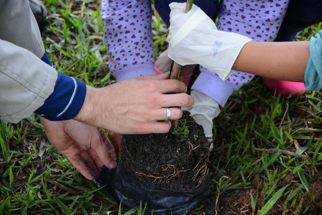 Prefeitura de Sorocaba realiza plantio de 150 árvores nativas no Parque das Águas neste sábado (9)