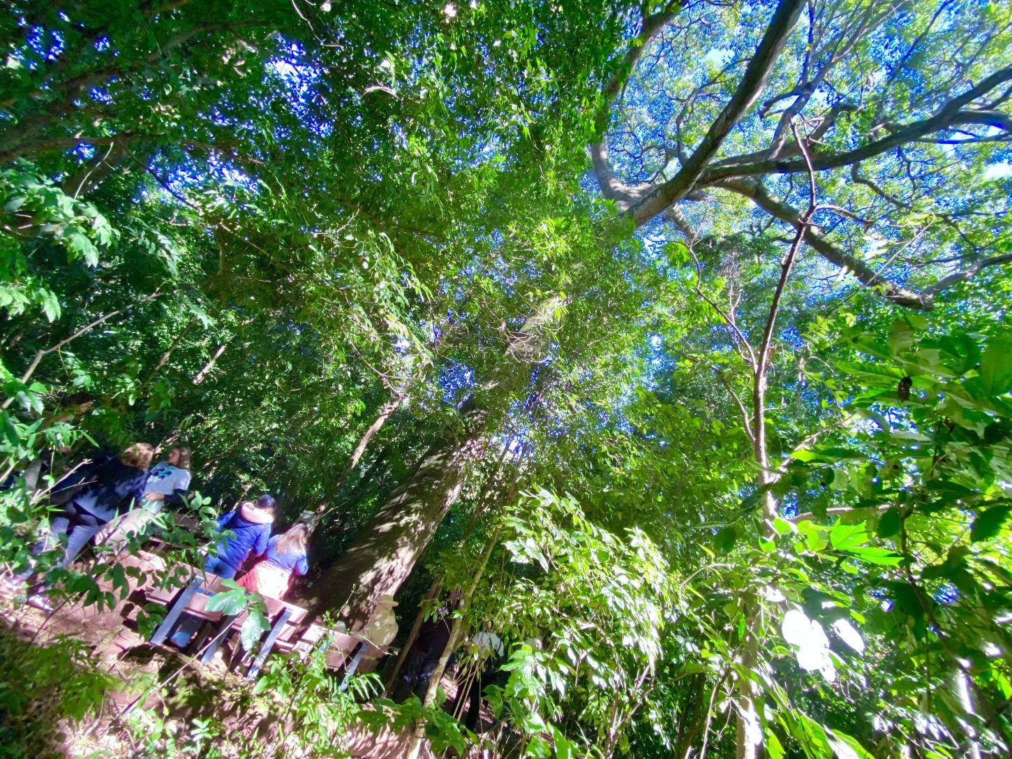 Campinas realiza a 3ª Conferência Municipal de Educação Ambiental em 13 de outubro