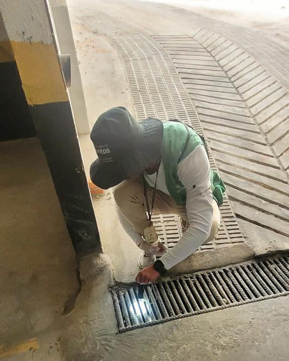 Mutirão na Vila Belmiro, em Santos, visita mais de 1,4 mil imóveis e elimina focos de mosquito em vários pontos