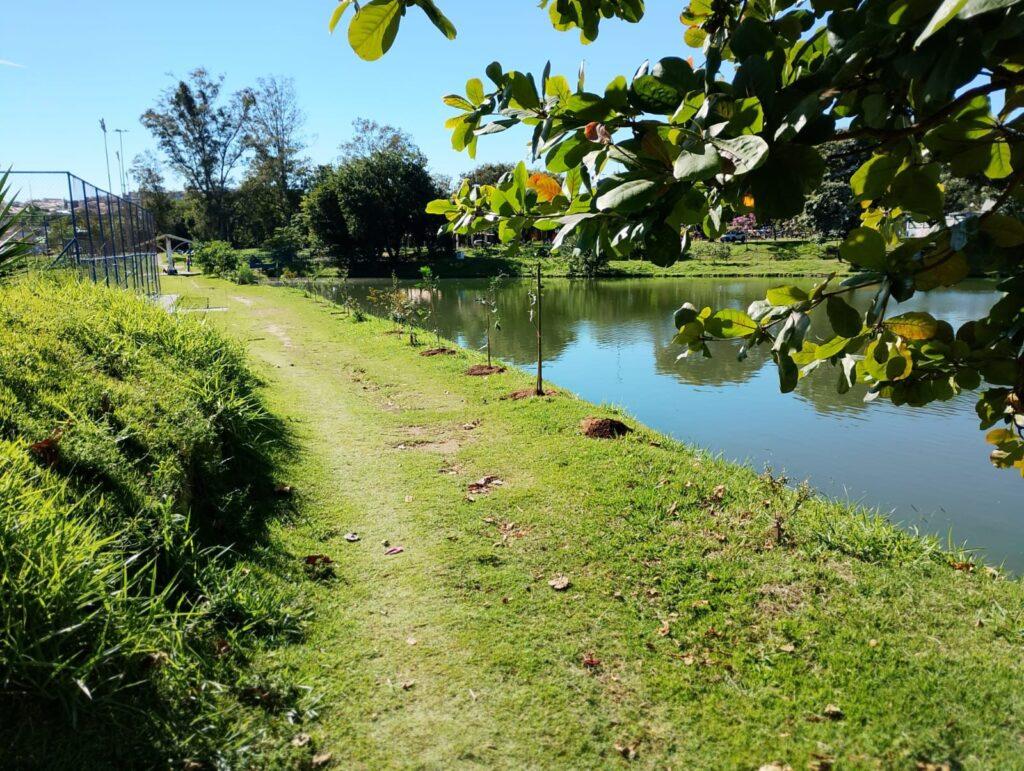 Prefeitura de Sorocaba realiza plantio de 40 mudas de árvores no Parque dos Espanhóis