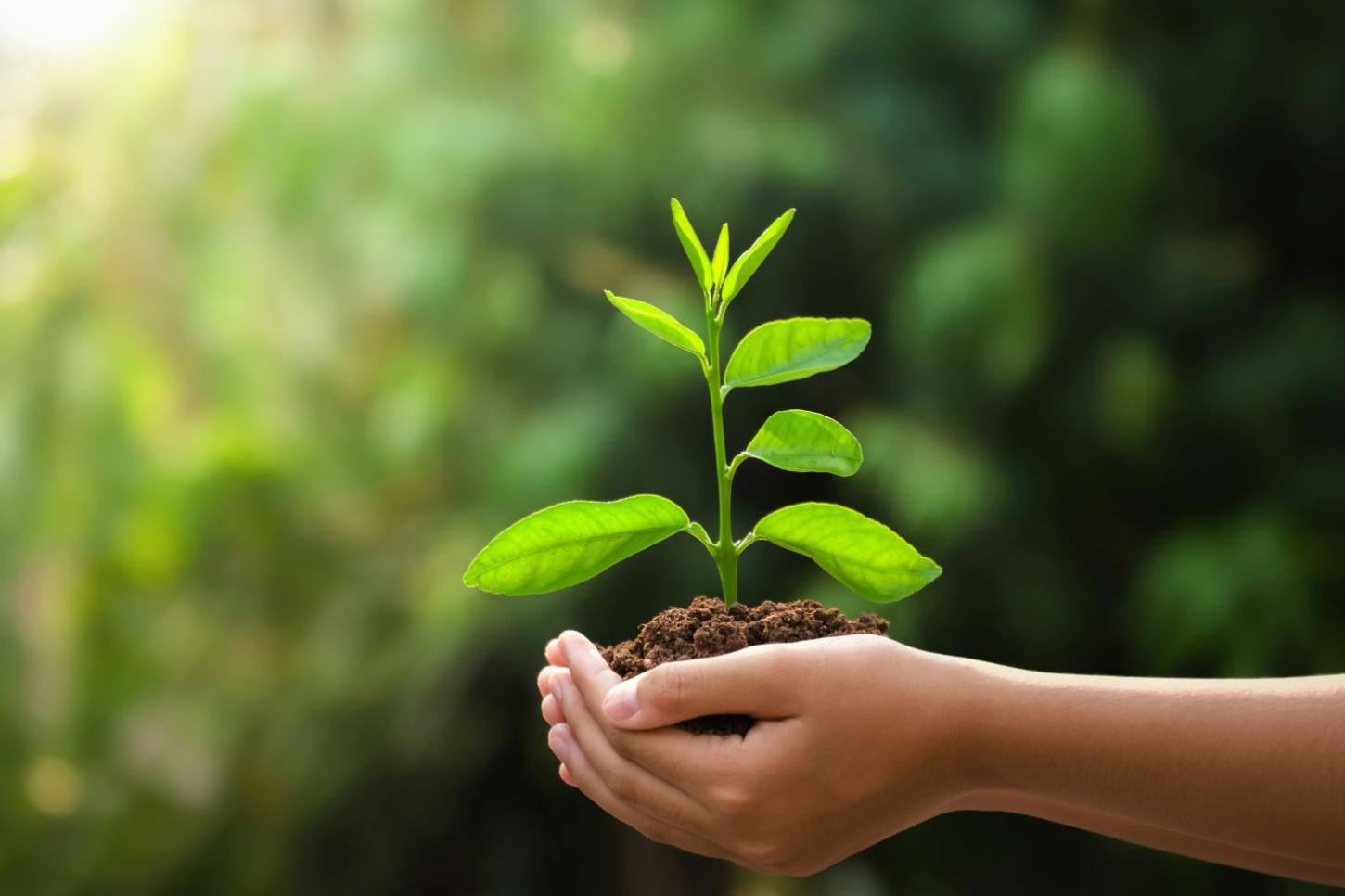 Novas metas de ESG