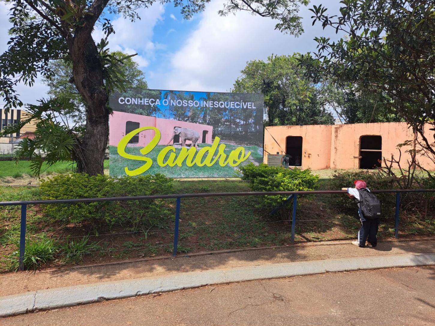 Elefante Sandro ganha homenagem no Zoológico de Sorocaba