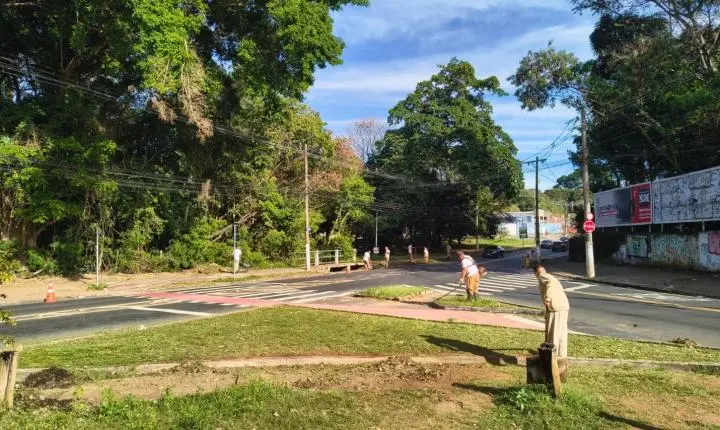 Ações diárias de zeladoria reforçam conservação em bairros de Campinas