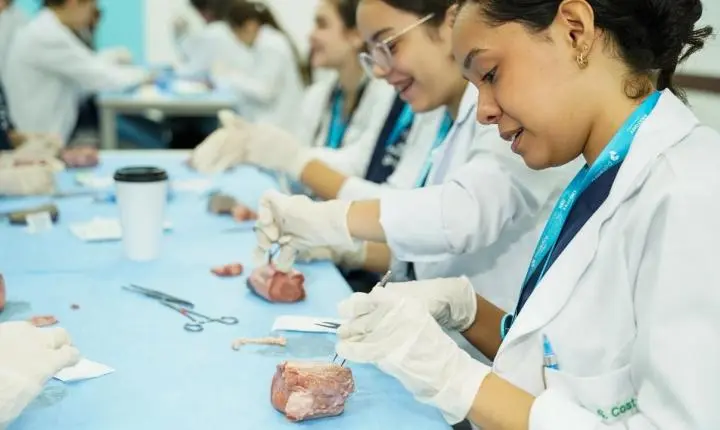Além das provas: como experiências colaborativas preparam estudantes para desafios da vida real