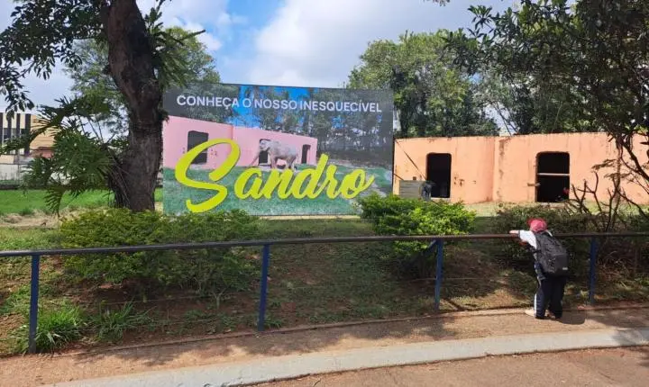 Elefante Sandro ganha homenagem no Zoológico de Sorocaba