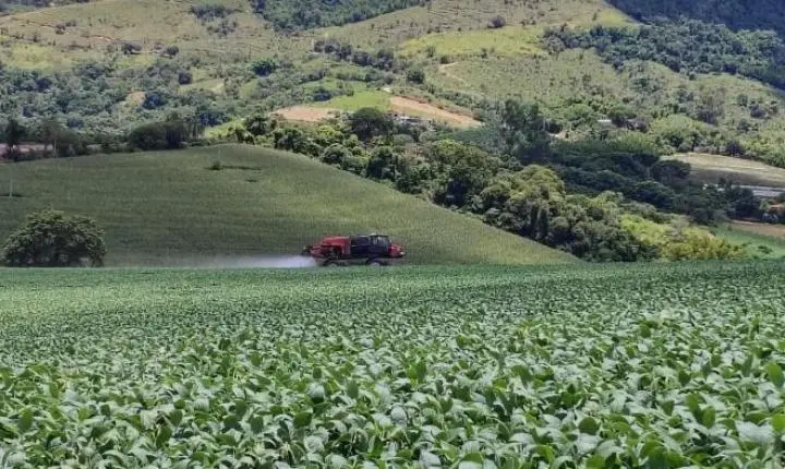 Oportunidade Rara em Serra Negra: Fazenda com 488 Hectares Une Alta Produtividade e Charme Colonial