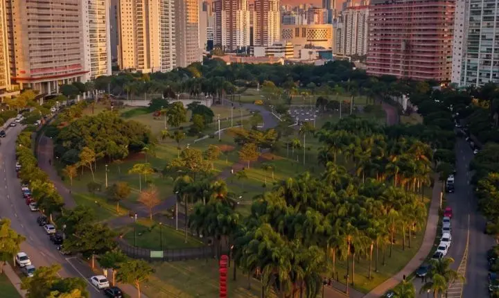 Flower Bar leva cores e criatividade ao Jardim das Perdizes