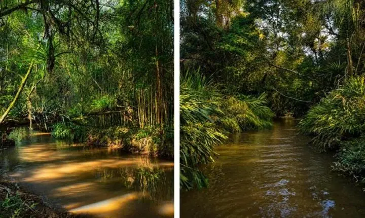 O Refúgio Perfeito nas Alturas: Sítio de 17 Hectares em Tapiraí une Natureza Intocada, História e Alto Padrão