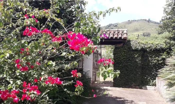 Oportunidade Rara em Serra Negra: Fazenda com 488 Hectares Une Alta Produtividade e Charme Colonial