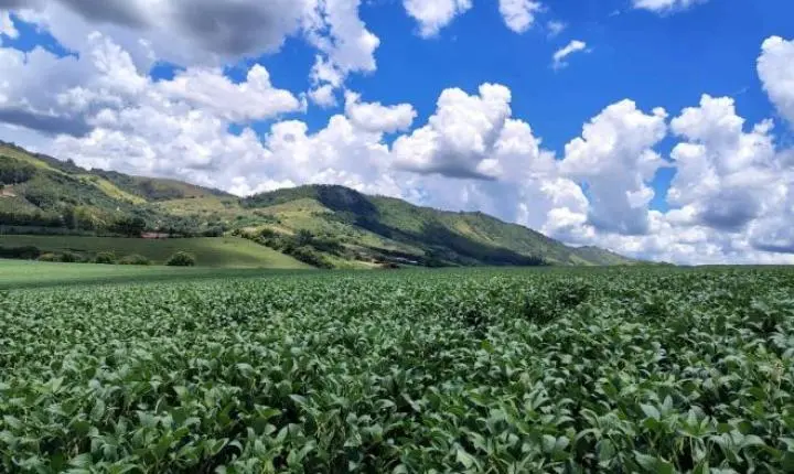 Oportunidade Rara em Serra Negra: Fazenda com 488 Hectares Une Alta Produtividade e Charme Colonial