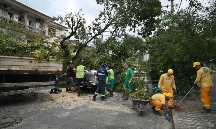 Prefeitura de Santos mobiliza mais de 200 profissionais para atender ocorrências após ventania de 111,8 km/h