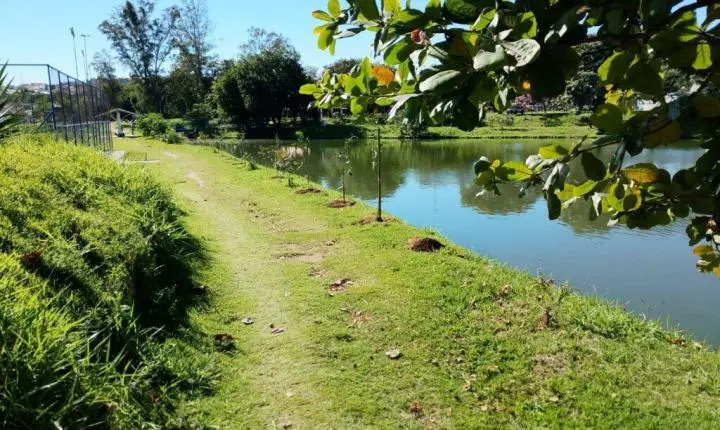 Prefeitura de Sorocaba realiza plantio de 40 mudas de árvores no Parque dos Espanhóis